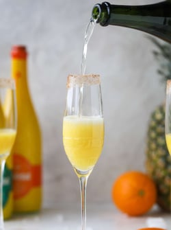 bottomless mimosa